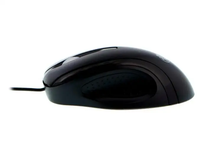 XTM-175-3-1-768x550.-698x500.webp