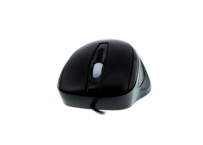 XTM-175-1-1-768x550.-698x500.webp