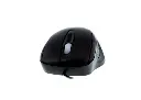 XTM-175-1-1-768x550.-698x500.webp